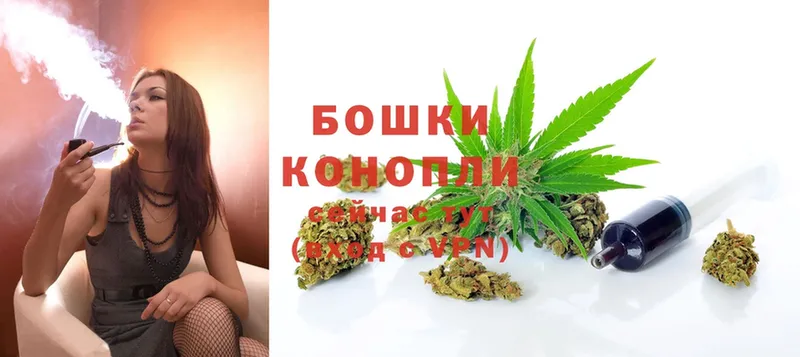 Бошки Шишки OG Kush  Костерёво 